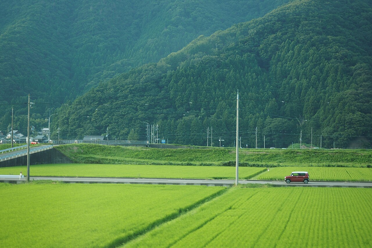 Japanese rural road with guardrail and narrow lane markings
