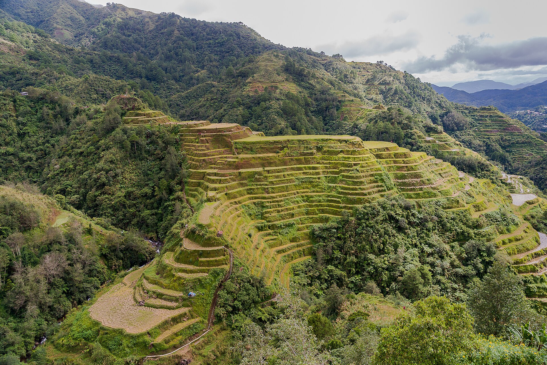 Rice terraces in the Philippines — compare with Indonesia and Thailand agriculture